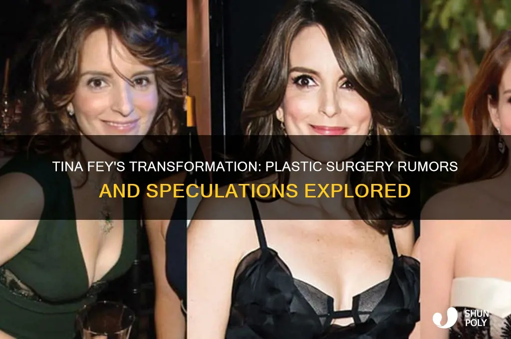 has tina fey had plastic surgery