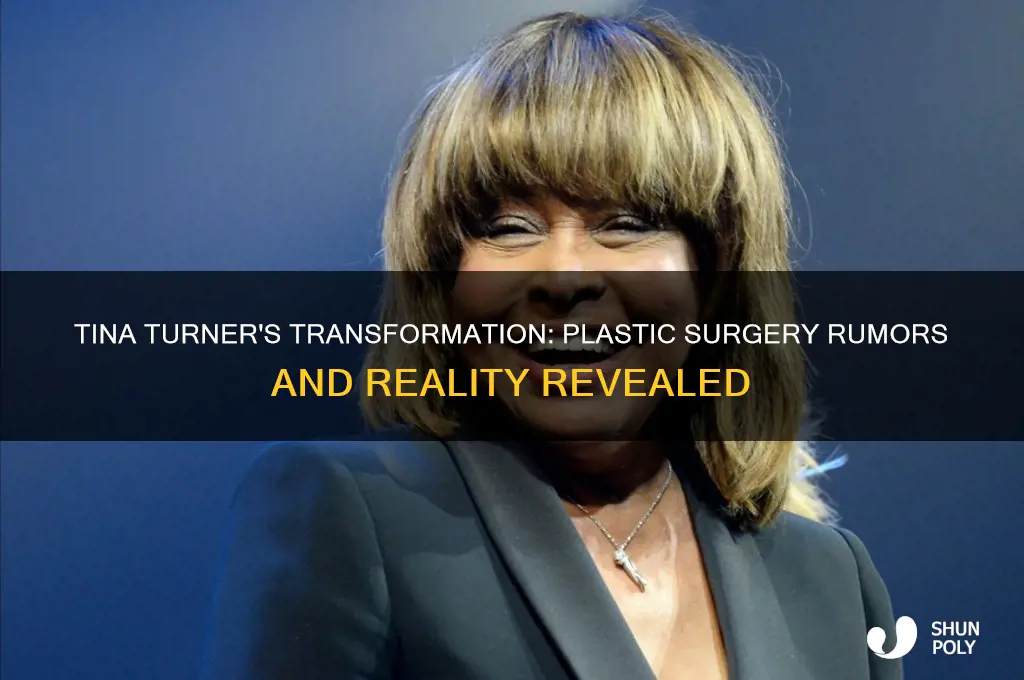 has tina turner ever had plastic surgery