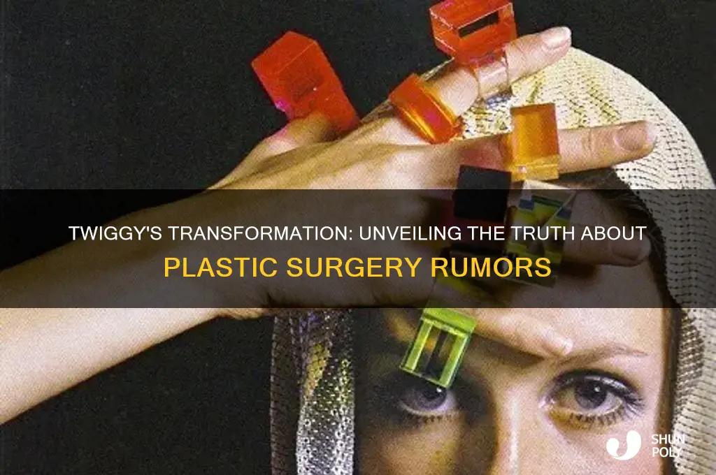 has twiggy had plastic surgery