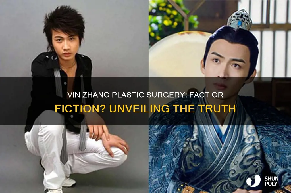 has vin zhang had plastic surgery