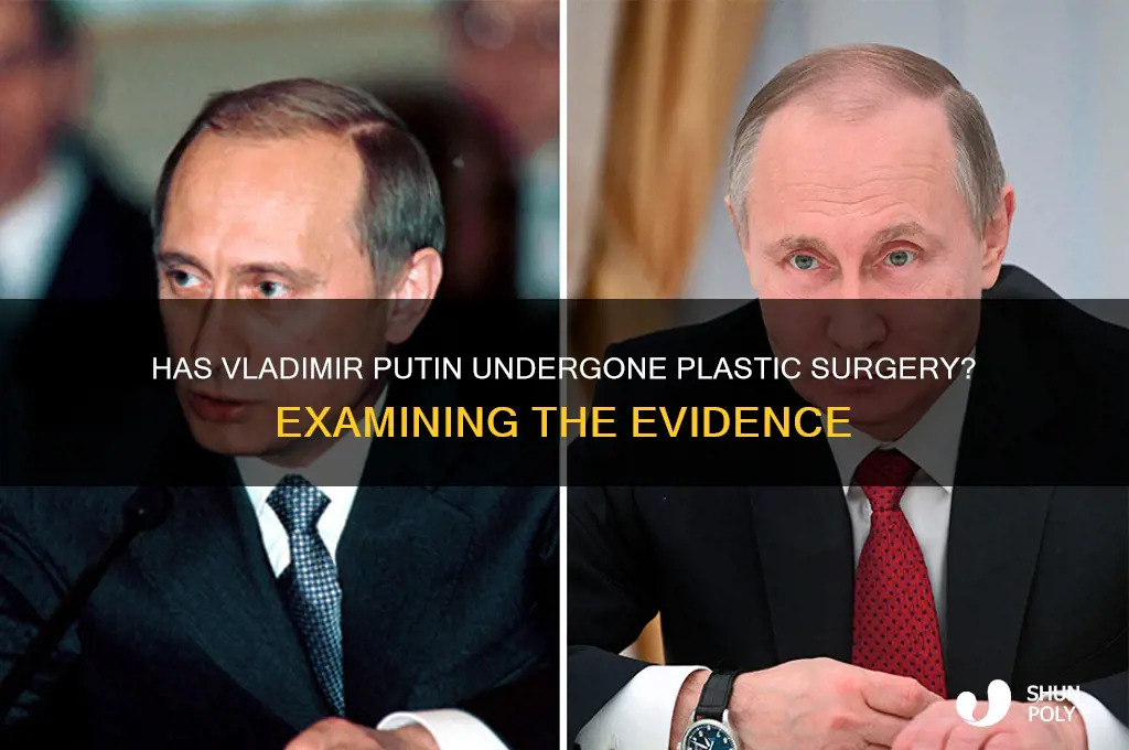 has vladimir putin had plastic surgery