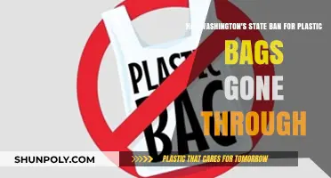 Washington's Plastic Bag Ban: Implementation and Impact Update