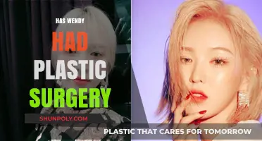 Wendy's Transformation: Plastic Surgery Rumors and the Truth Behind Them