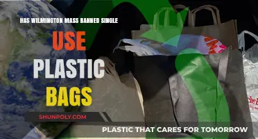 Wilmington, MA Bans Single-Use Plastic Bags: What You Need to Know