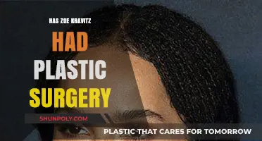 Zoe Kravitz Plastic Surgery Speculations: Fact or Fiction?