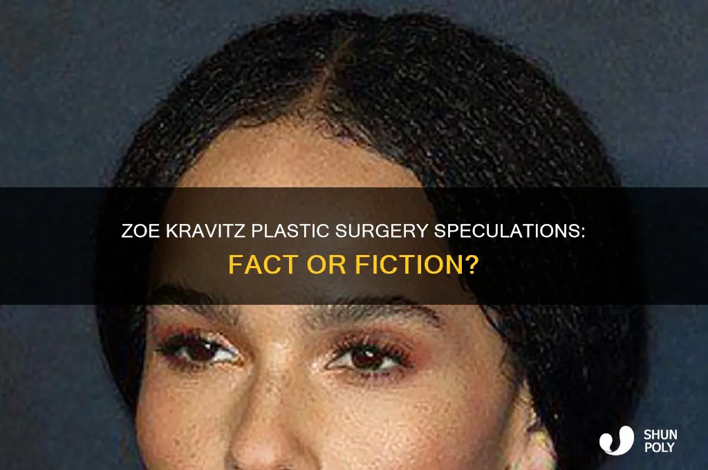has zoe kravitz had plastic surgery
