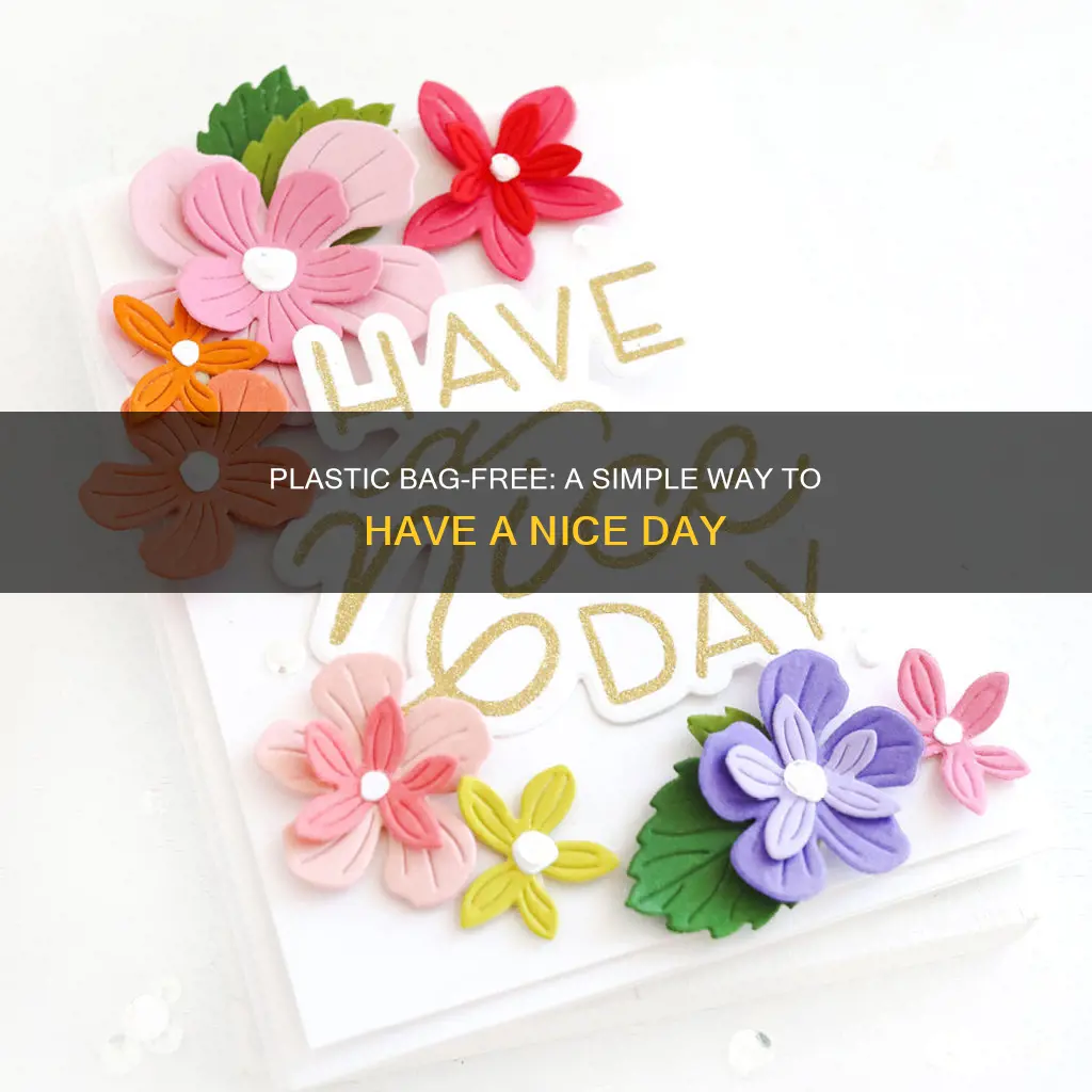 have a nice day plastic bqg