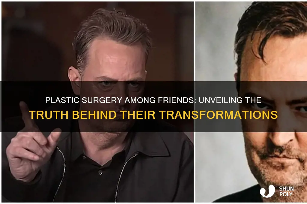 have all the friends had plastic surgery