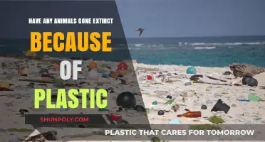Plastic Peril: The Silent Extinction of Marine Life