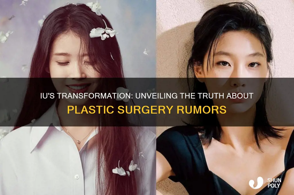 have iu have plastic surgery
