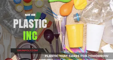 Unveiling the Impact: How Plastic Influences Our Daily Lives