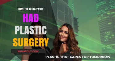 Bella Twins Plastic Surgery: Fact-Checking Rumors and Speculations