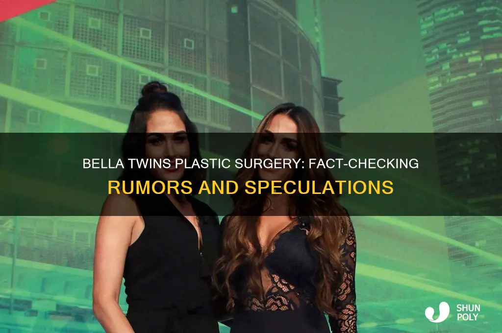 have the bella twins had plastic surgery