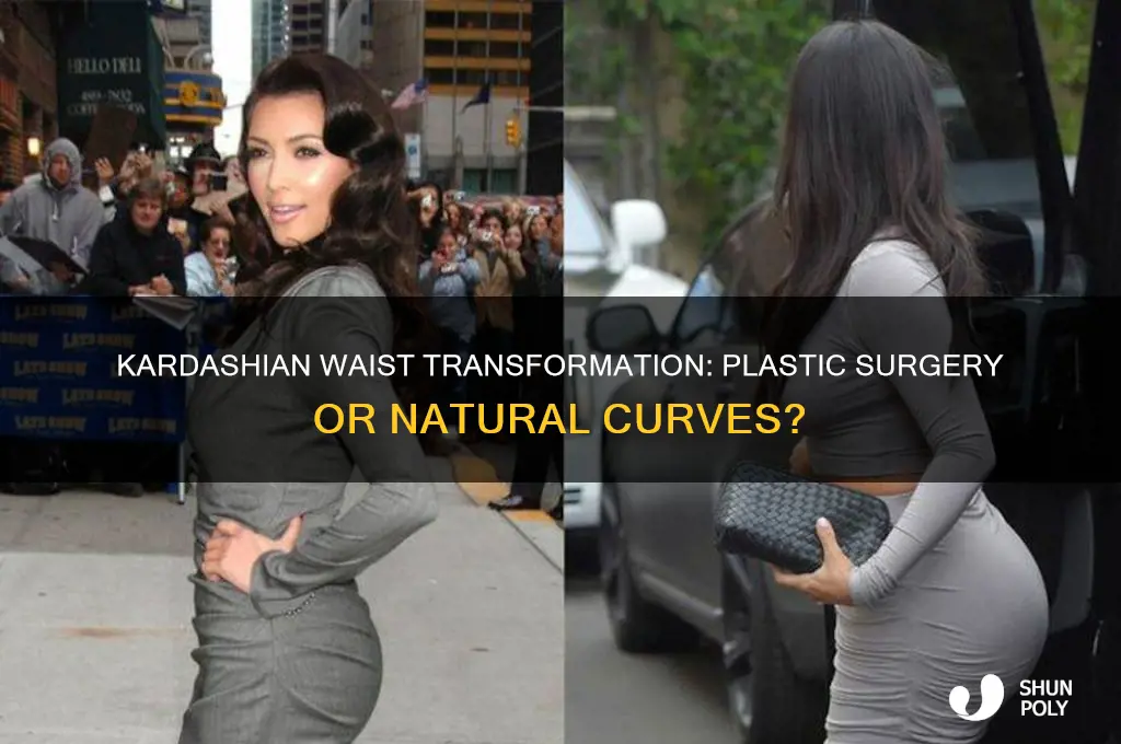 have the kardashians had plastic surgery on waist