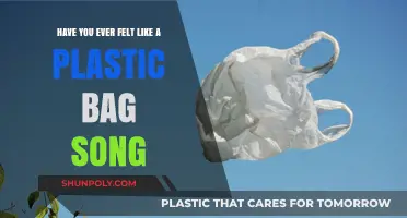 Drifting Like a Plastic Bag: Unraveling Katy Perry's 'Firework' Lyrics