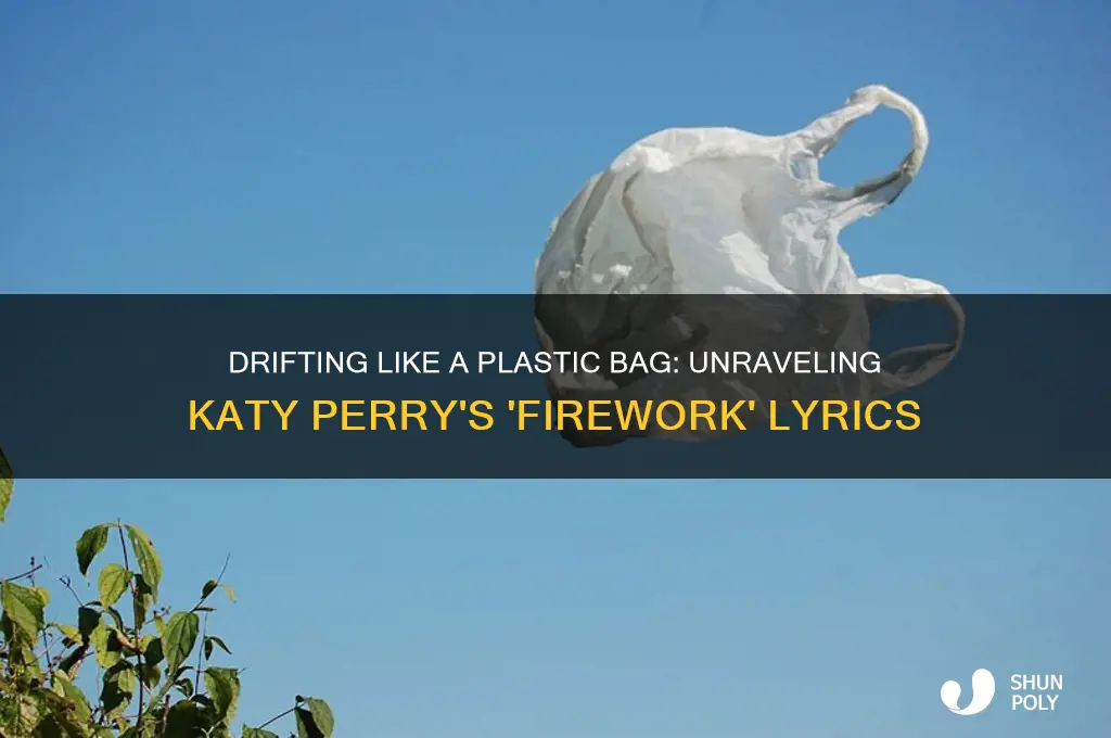 have you ever felt like a plastic bag song
