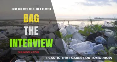 Drifting Like a Plastic Bag: Unveiling the Story Behind the Interview