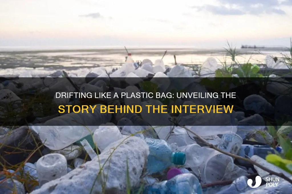 have you ever felt like a plastic bag the interview