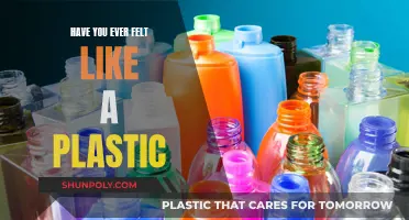 Plastic People: The Loss of Authenticity