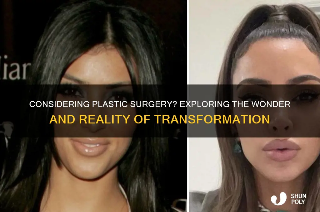 have you ever thought about having plastic surgery wonder