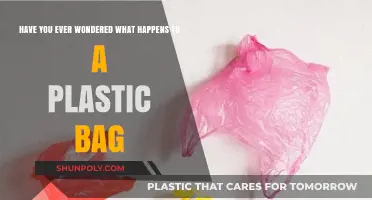 The Journey of a Plastic Bag: From Use to Environmental Impact