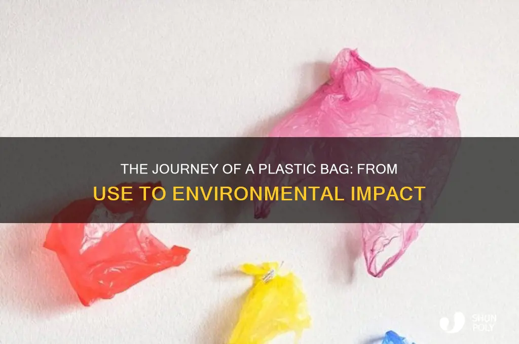 have you ever wondered what happens to a plastic bag