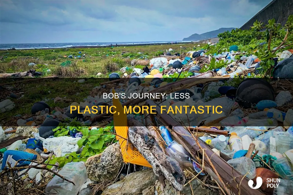 have you seen bob less plastic fantastic