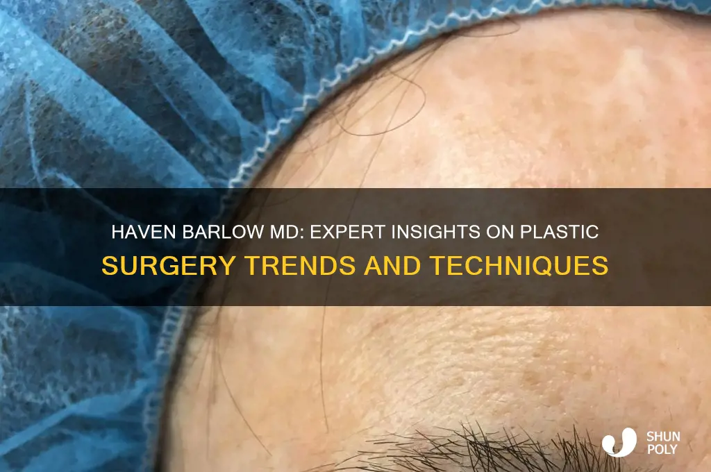haven barlow md plastic surgery
