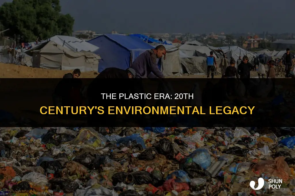 how 20th century has emerged as plastic age