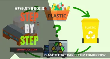 Unraveling the Journey: 6 Plastic Recycling Steps Revealed