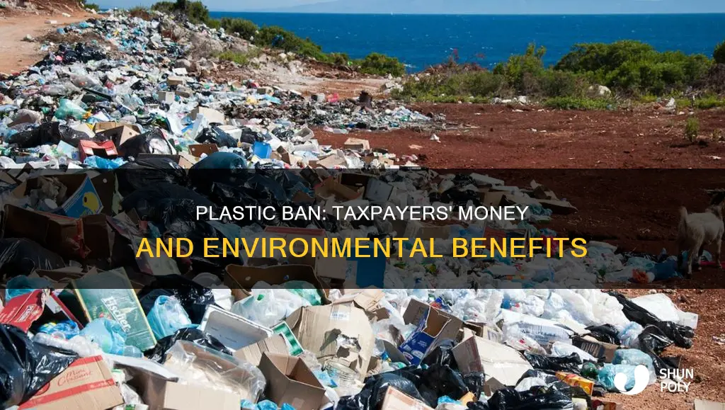 how a plastic ban benefits taxpayers