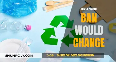A World Without Plastic: Positive Changes from a Ban