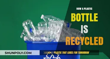 From Trash to Treasure: The Journey of Recycling Plastic Bottles