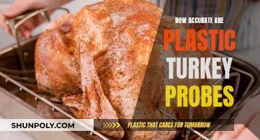 Turkey Probes: Precision Cooking, Perfect Results