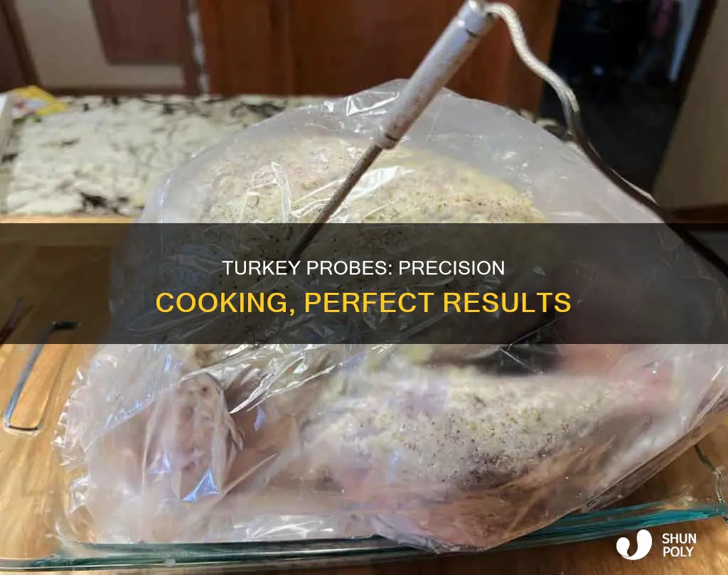 how accurate are plastic turkey probes