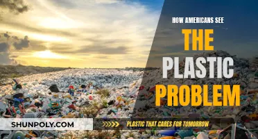 Plastic Pollution: The American Perspective