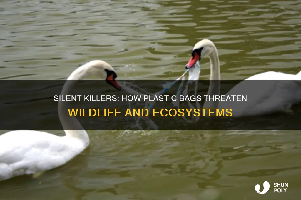 how animals die from plastic bags