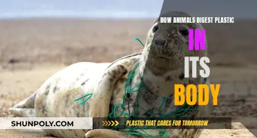 Animals' Plastic Digestion: An Unnatural Process