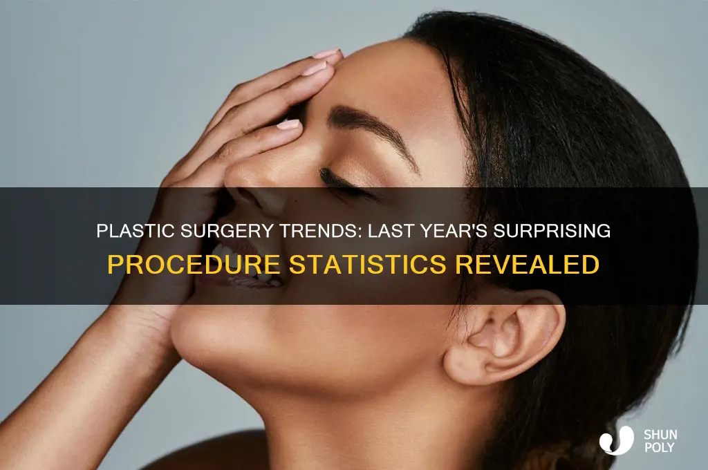 how any plastic surgeries were done last year