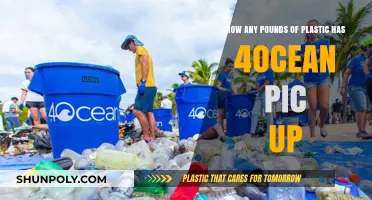 Ocean's Burden: The Astonishing Amount of Plastic 4ocean Has Collected