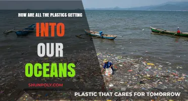 Unseen Pathways: How Plastics Invade Our Oceans and Threaten Ecosystems
