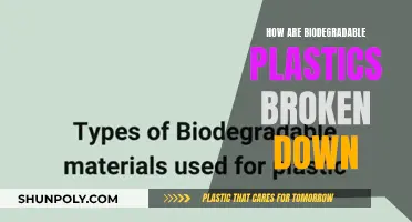 Biodegradable Plastics: Nature's Breakdown Process Explained