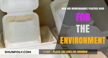 Eco-Friendly Alternatives: The Benefits of Biodegradable Plastics