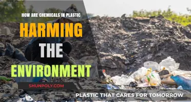 Unseen Dangers: How Chemicals in Plastic Threaten Our Planet
