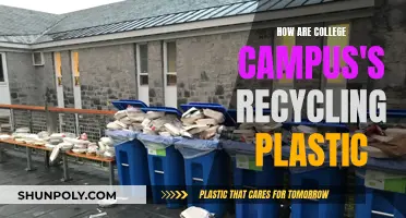 College Campus Recycling Revolution: Unveiling Plastic Waste Management Strategies