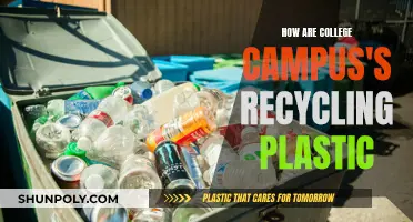 Colleges' Plastic Recycling: Strategies and Student Initiatives