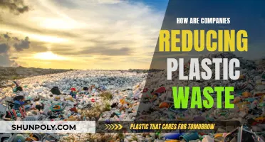 Businesses Leading the Way to Reduce Plastic Waste