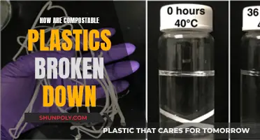 Compostable Plastics: Breakdown and Biodegradation Process