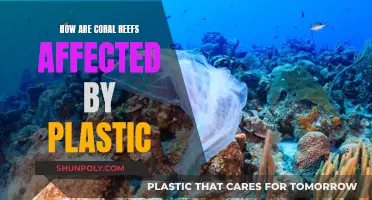 Plastic Pollution: Killing Coral Reefs and Marine Life