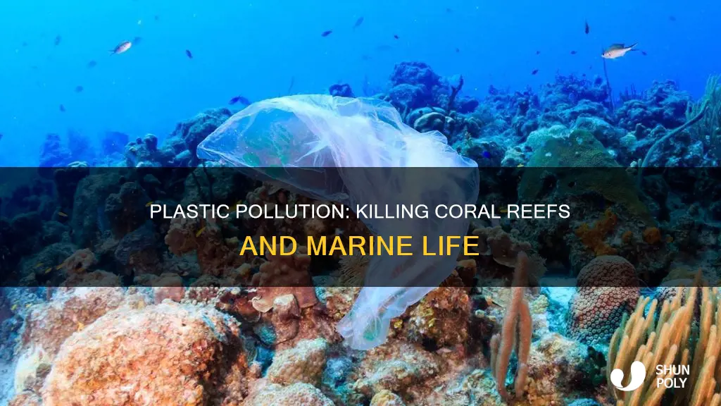 how are coral reefs affected by plastic